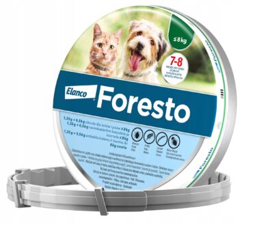 Elanco Foresto dla psa i kota 38cm