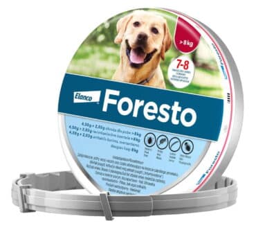 Obroza Foresto Bayer