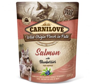 CARNILOVE DOG POUCH SALMON&BLUEBERRIES PUPPIE 300g