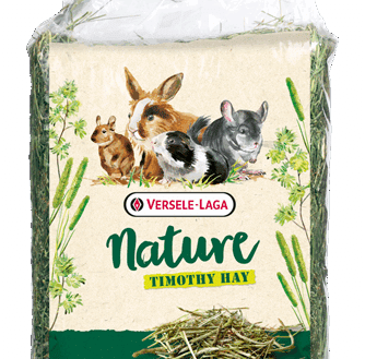 Versele laga sianko timothy