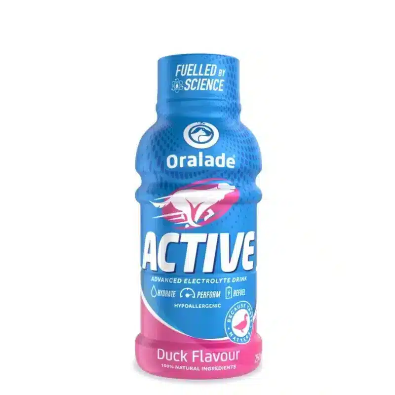 Oralade Active KACZKA 250 ml - preparat nawadniający